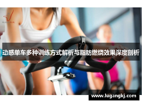 动感单车多种训练方式解析与脂肪燃烧效果深度剖析