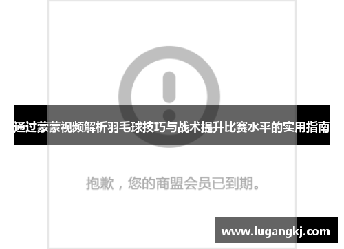 通过蒙蒙视频解析羽毛球技巧与战术提升比赛水平的实用指南