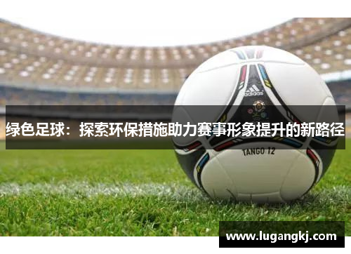 绿色足球：探索环保措施助力赛事形象提升的新路径