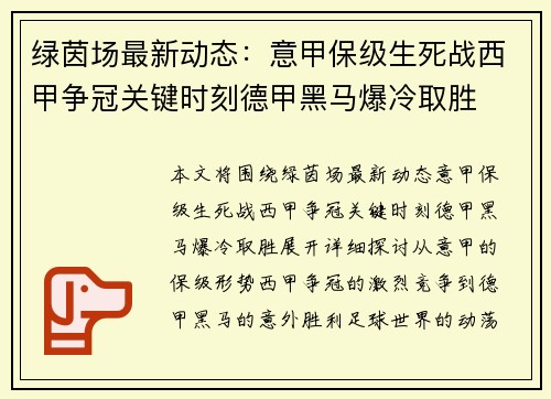 绿茵场最新动态：意甲保级生死战西甲争冠关键时刻德甲黑马爆冷取胜